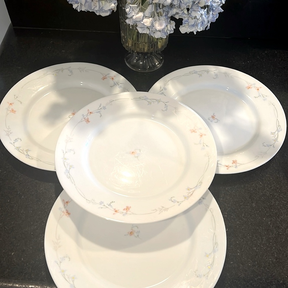 Arcopal dinner plates (4)